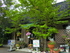 珈琲屋ふきのとう