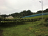 大黒屋ぶどう園